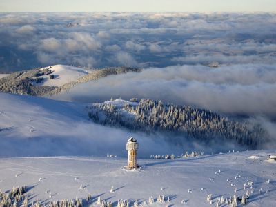 Schwarzwälder Weihnachtszauber im Breisgau